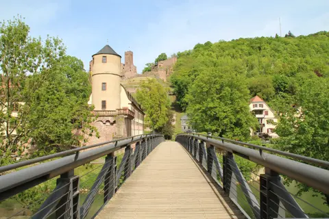 Europe's Rivers & Castles -Nuremberg to Luxembourg — AmaWaterways · AmaPrima