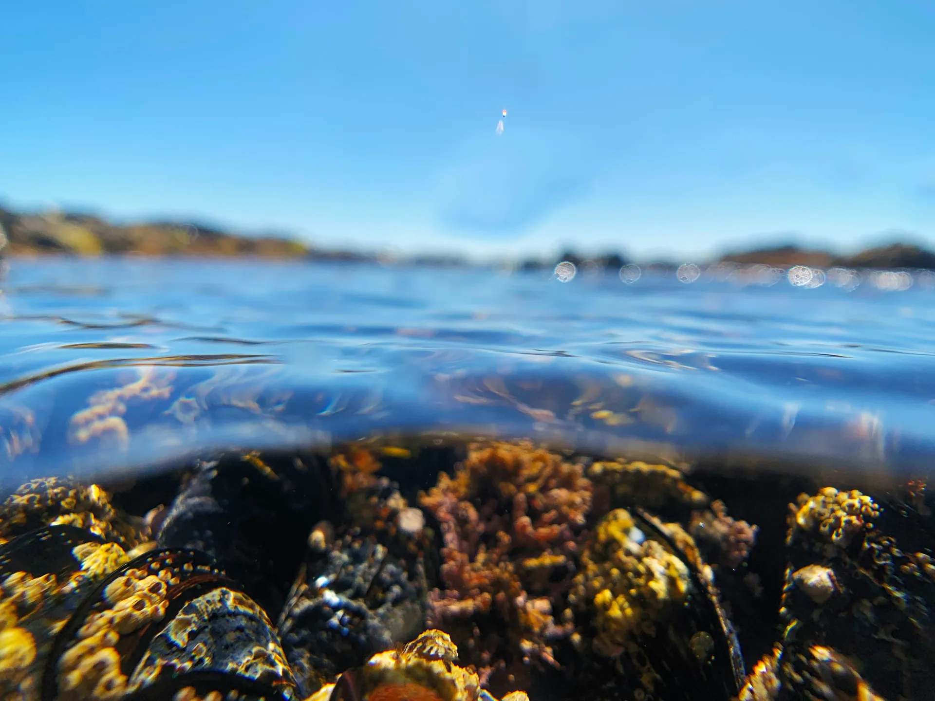 Santa Cruz Island, Galapagos Islands 9
