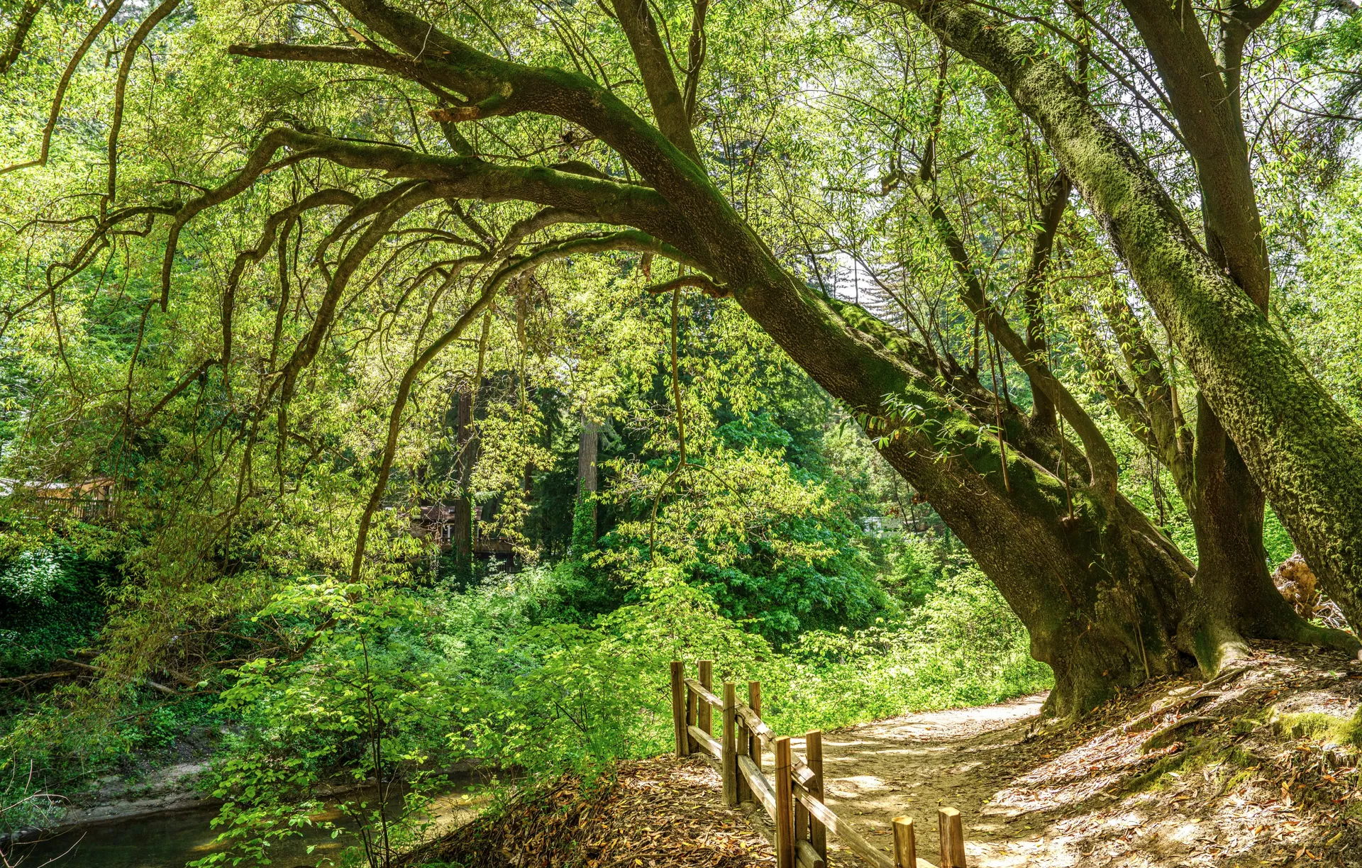 Santa Cruz Island, Galapagos Islands 3