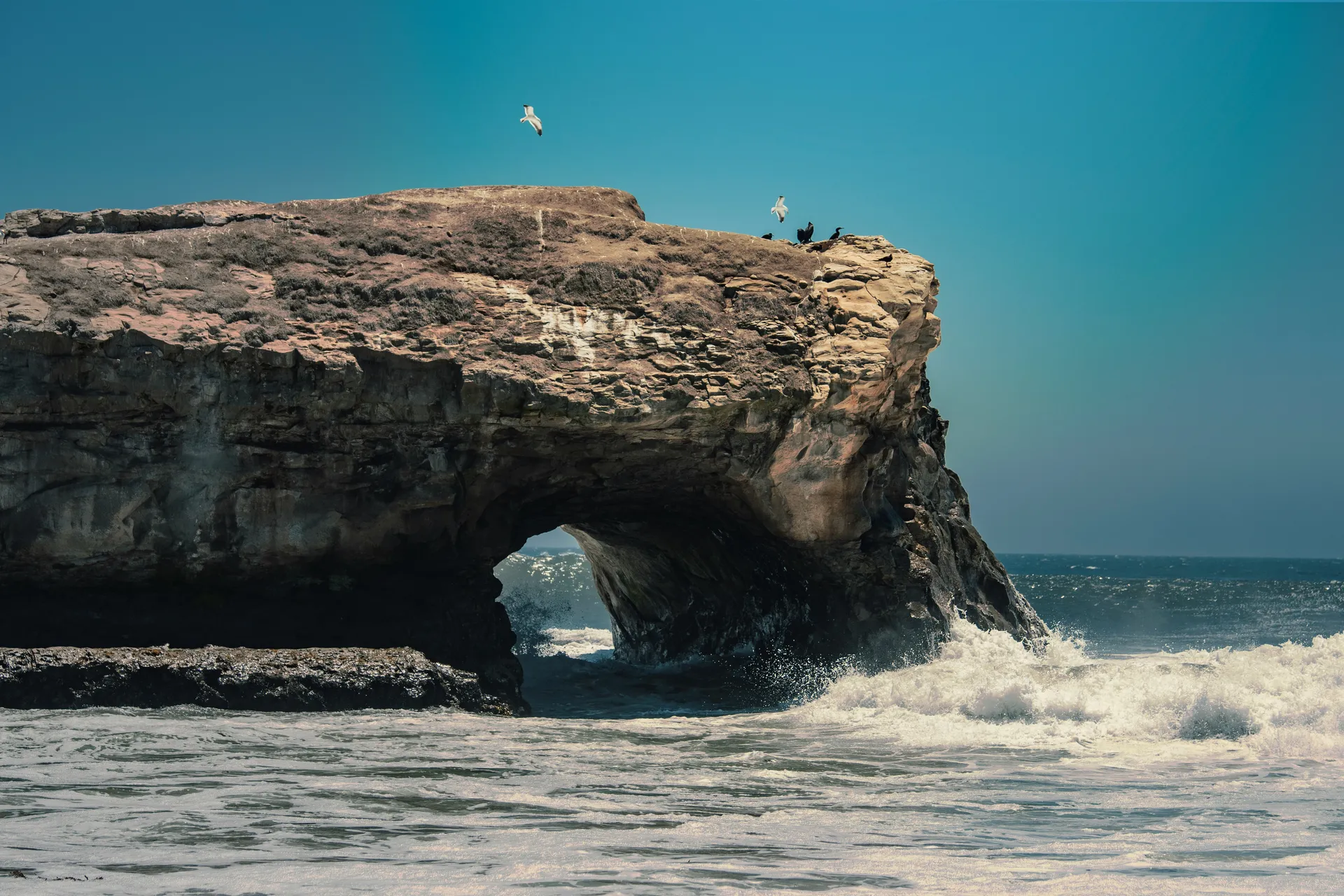 Santa Cruz Island, Galapagos Islands 4
