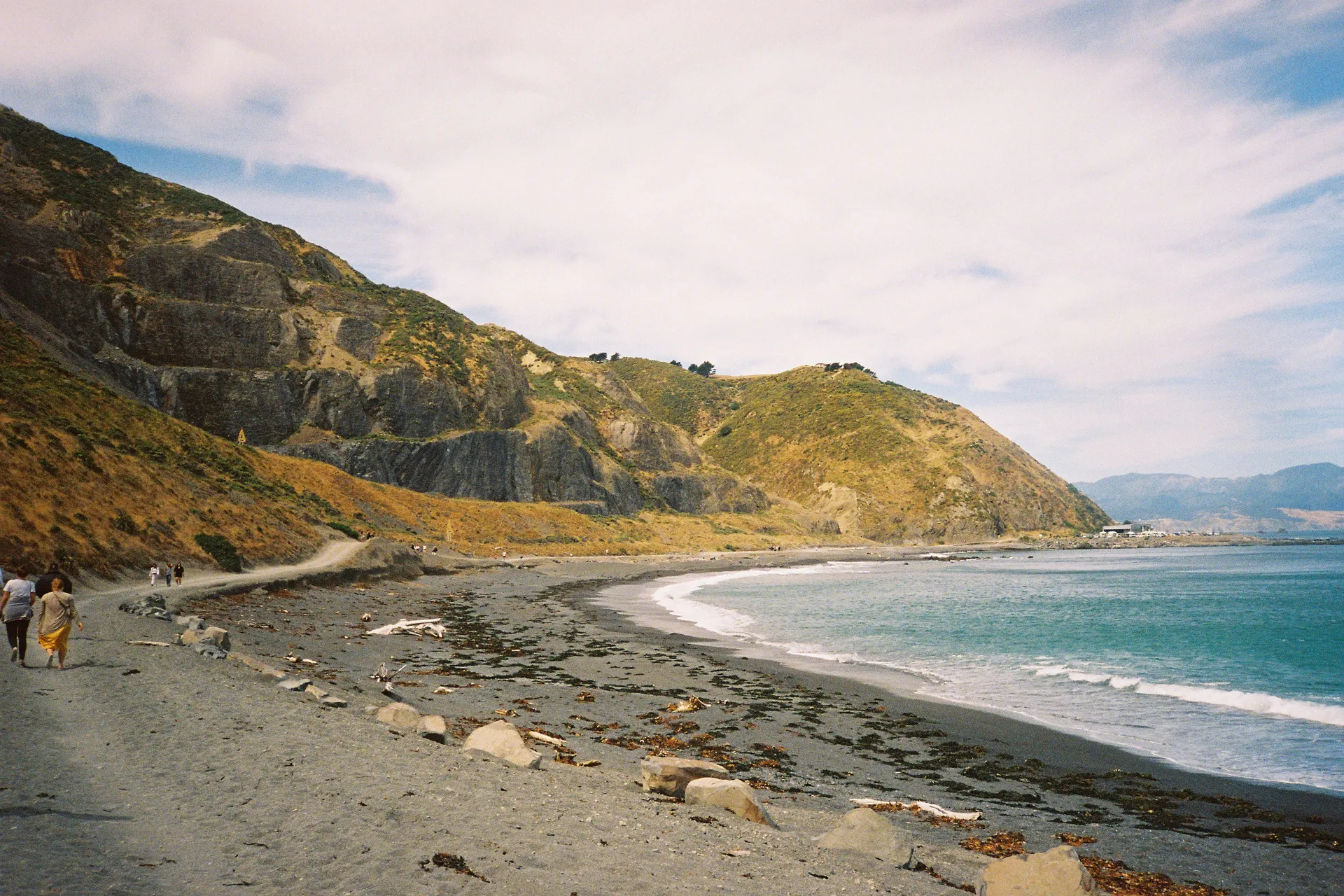 וולינגטון 9