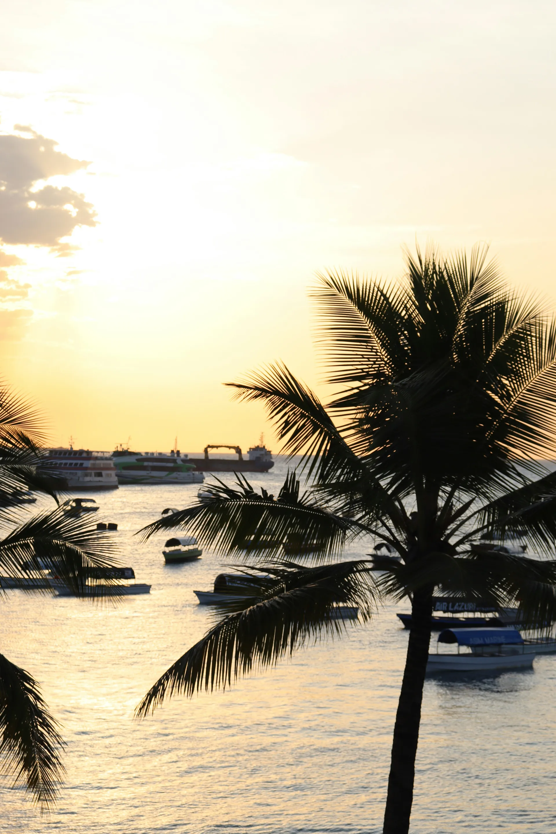 স্টোন টাউন 9