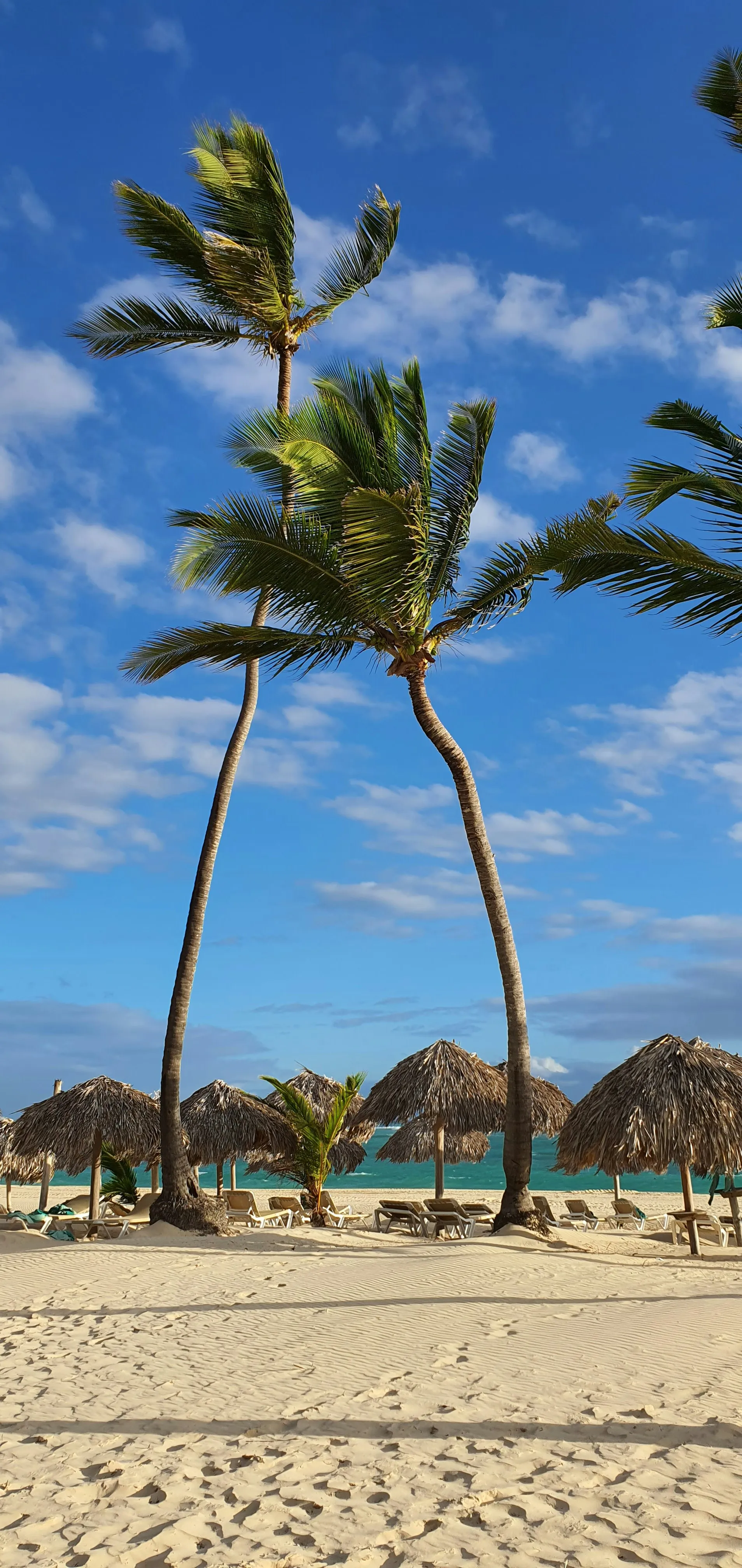 Punta Cana, Domnican Republic (Punta Cana, Domnican Republic)