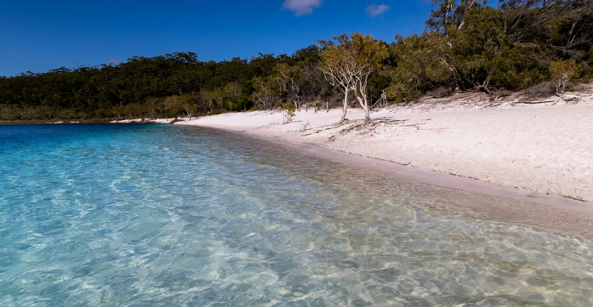 Fraser Island 4