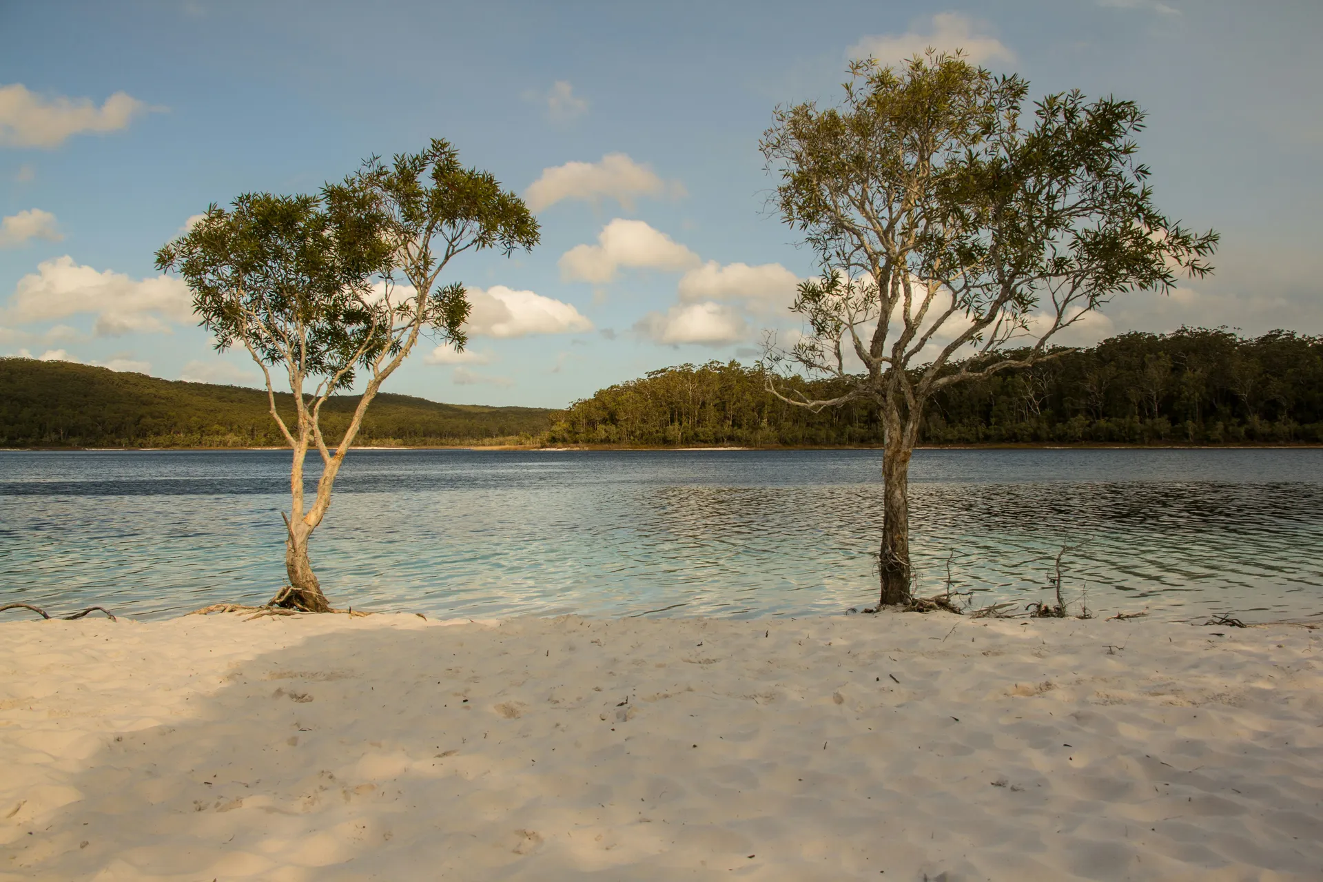 Fraser Island 3