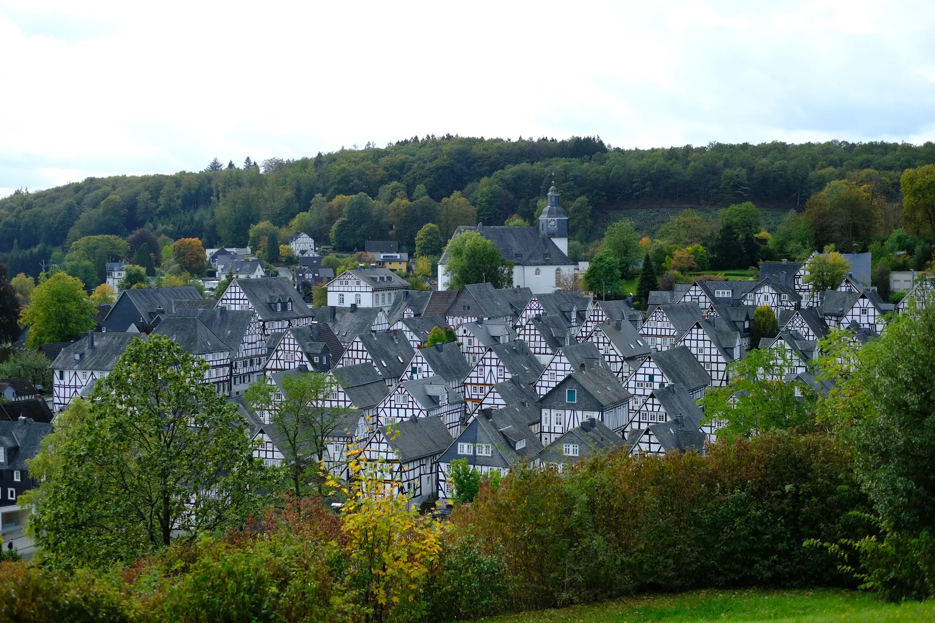 Freudenberg (Freudenberg)