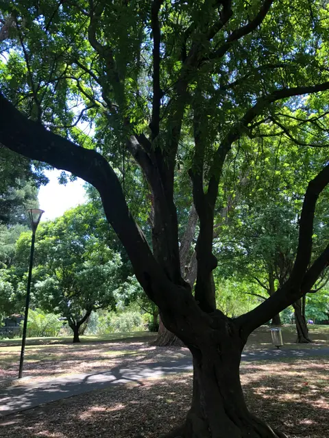 Nya Zeeland: Store Kontraster Ved Verdens Ende — Hapag-Lloyd Cruises · HANSEATIC Spirit