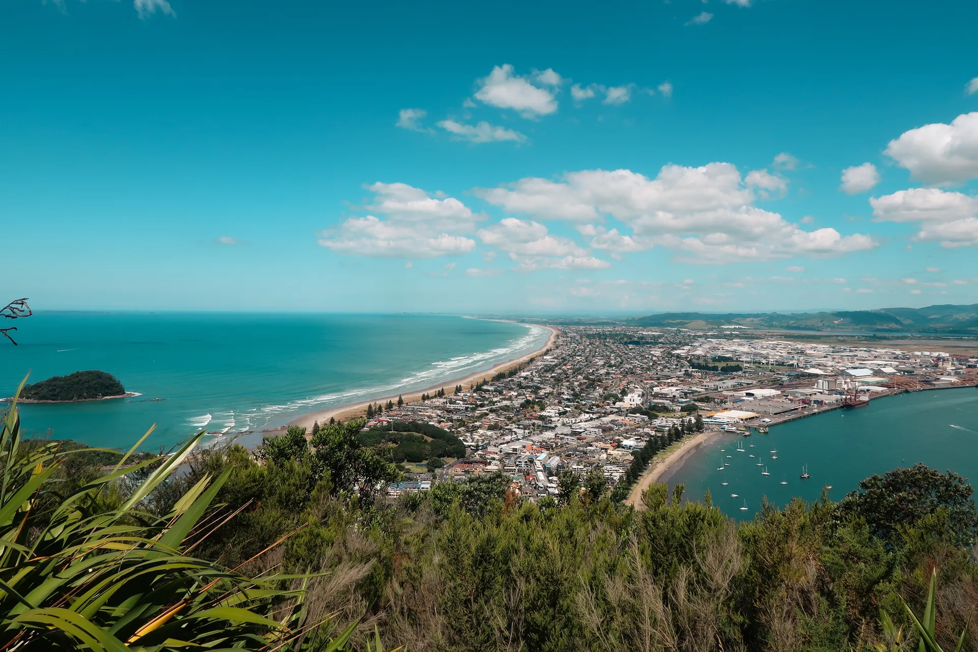 Tauranga (Tauranga)