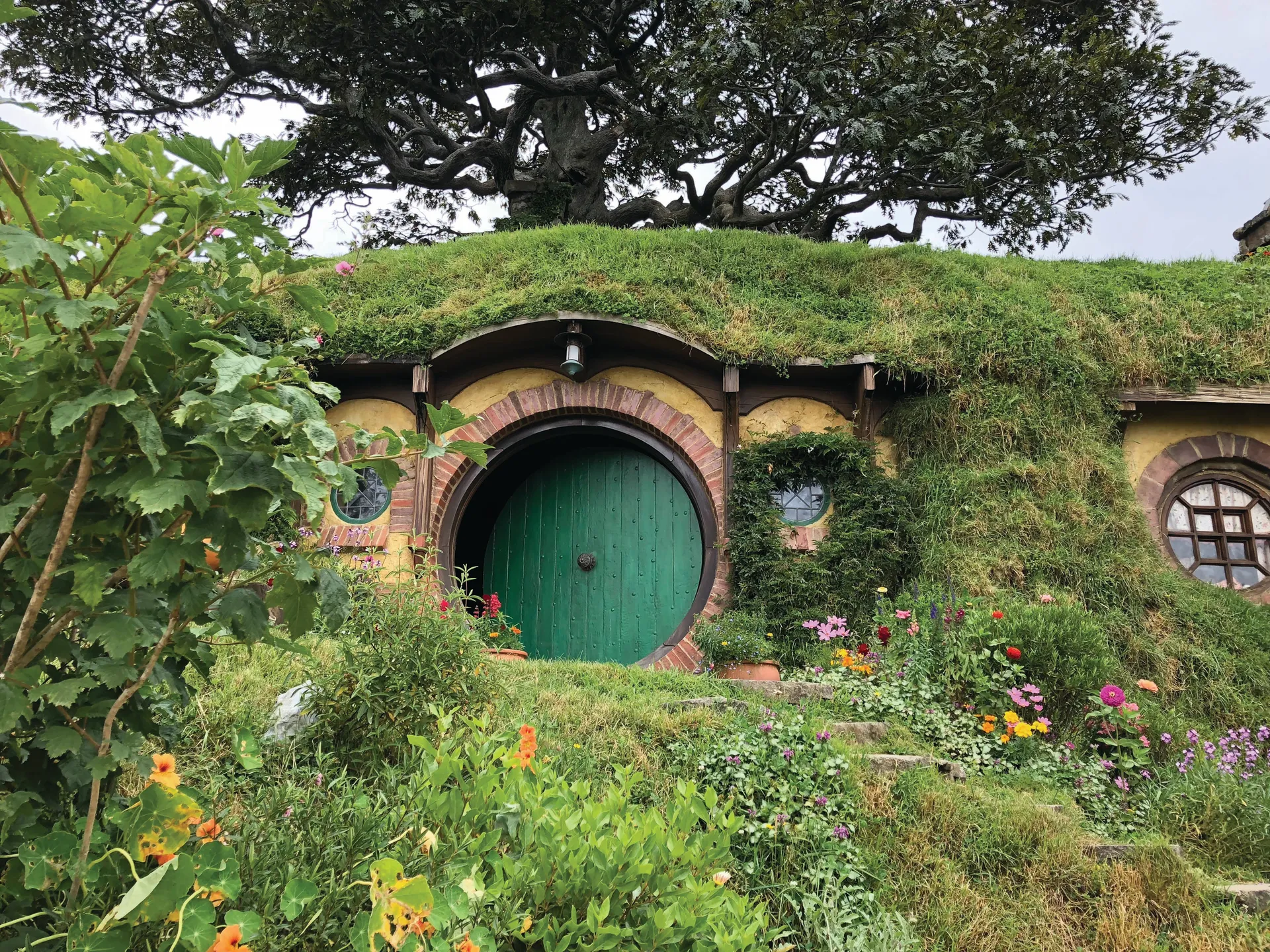 เทารังงา 4