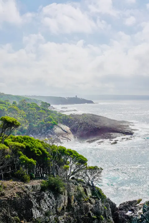 18-Day Australia & New Zealand from Sydney — Norwegian Cruise Line · Norwegian Spirit