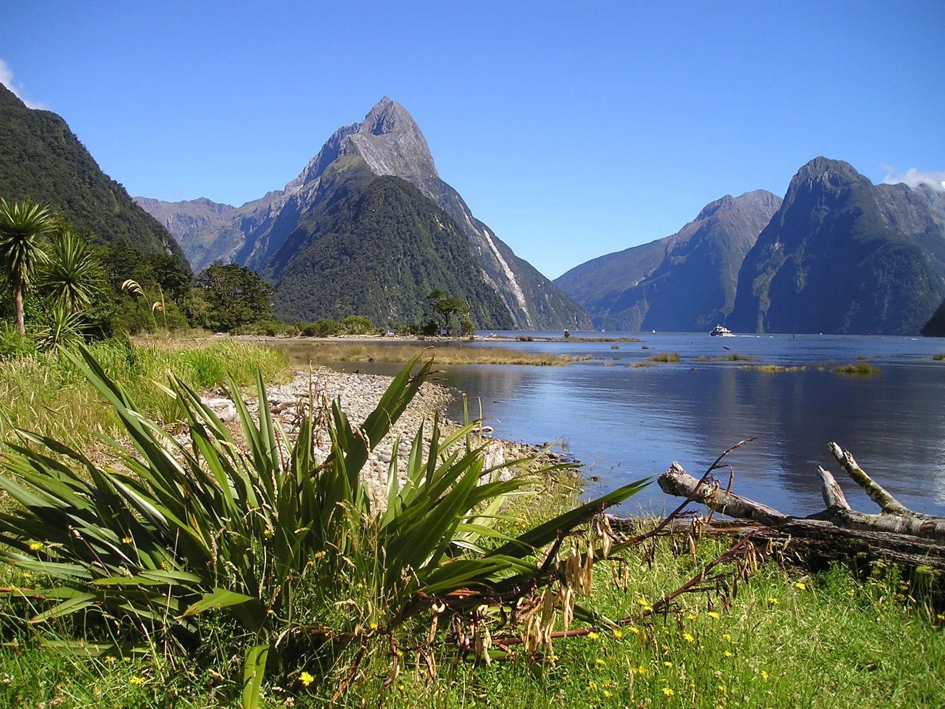 Fiordland Nemzeti Park (Fiordland National Park)