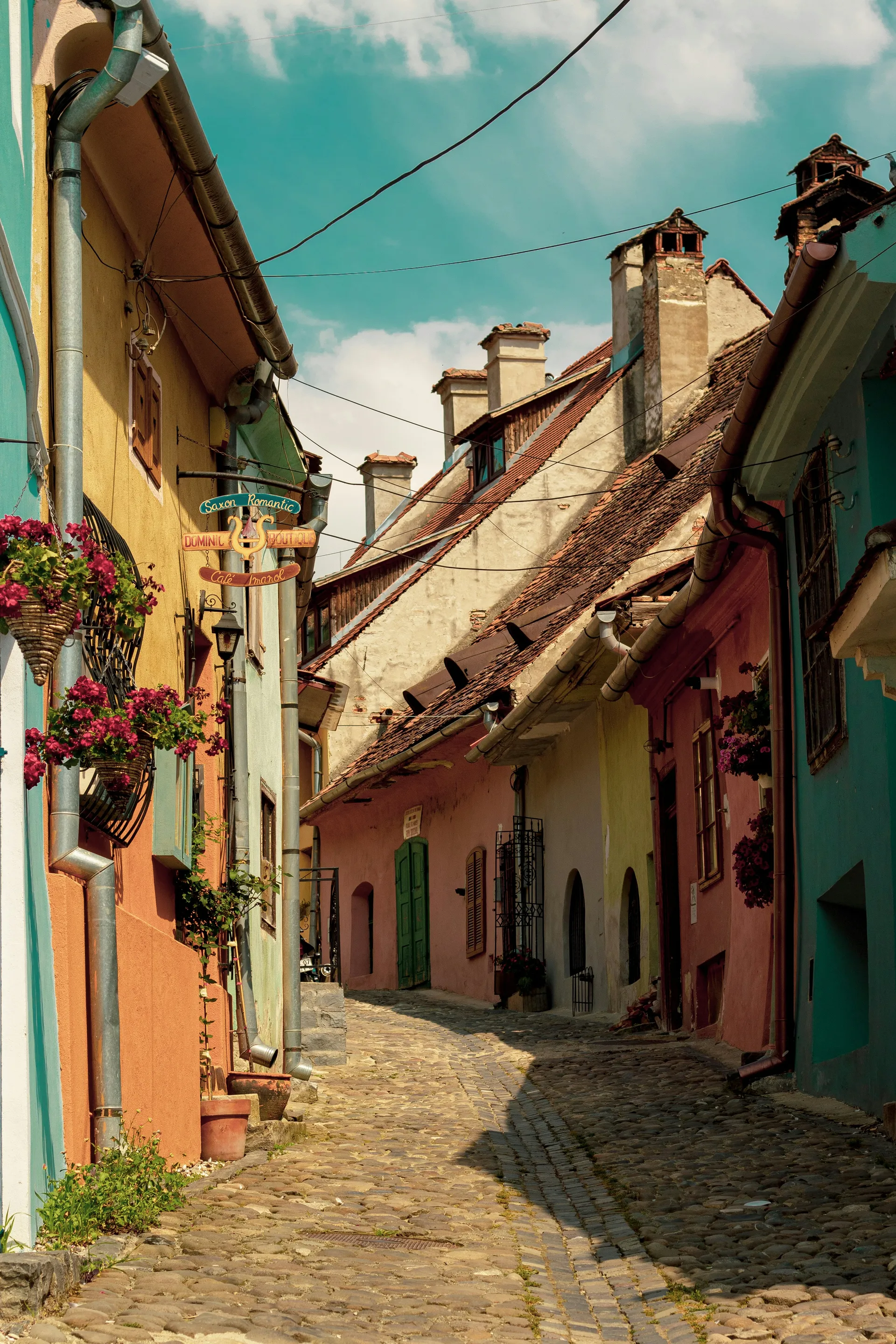 Sighișoara, Transylvania 6