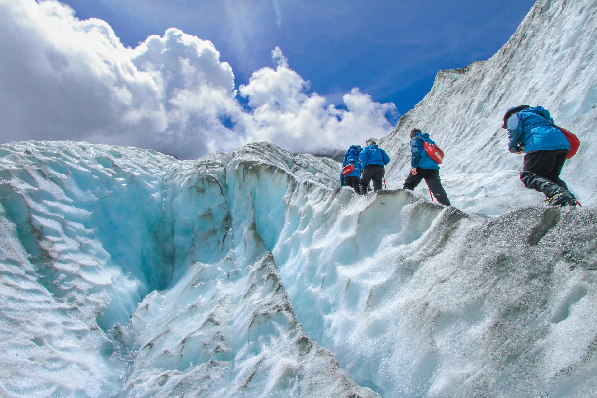Franz Josef Glacier 5