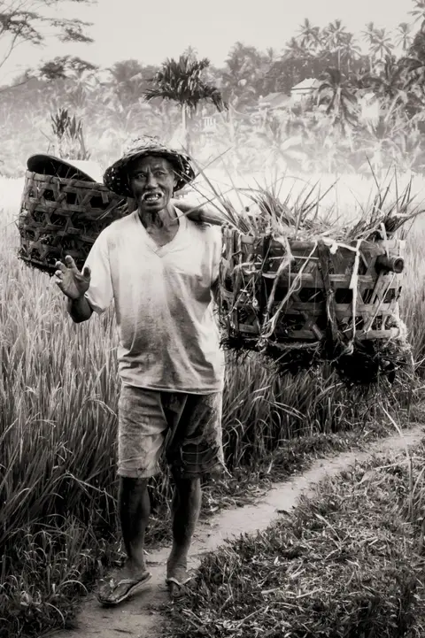 Ubud