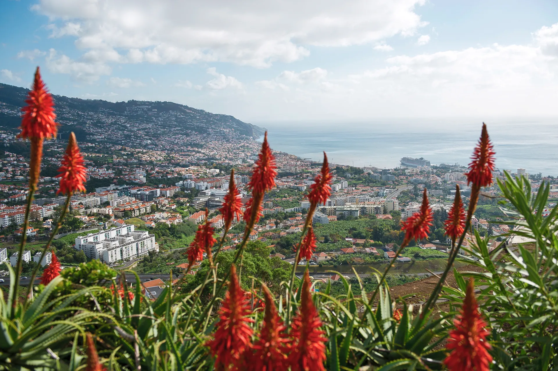 Funchal 5