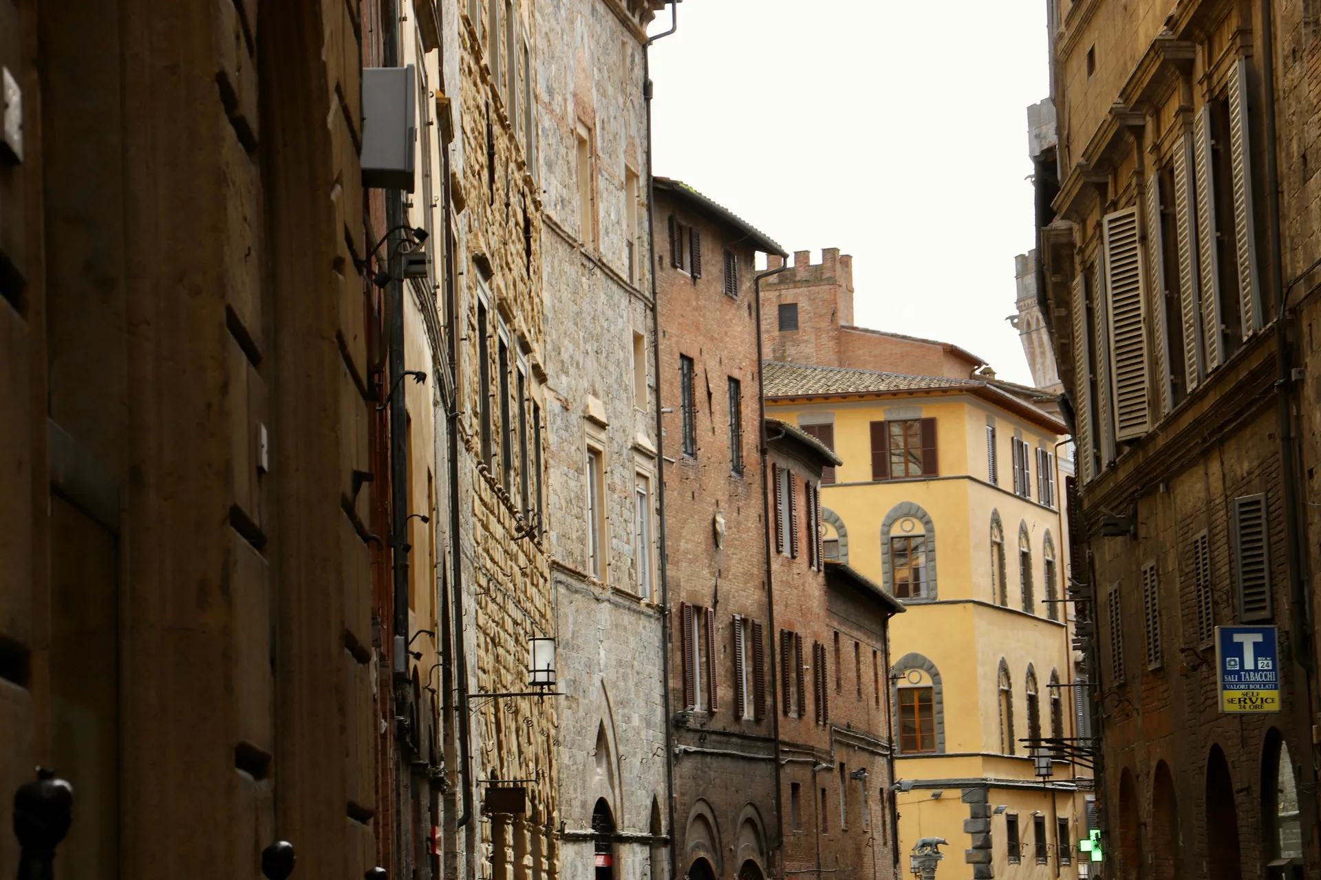 সিয়েনা 3