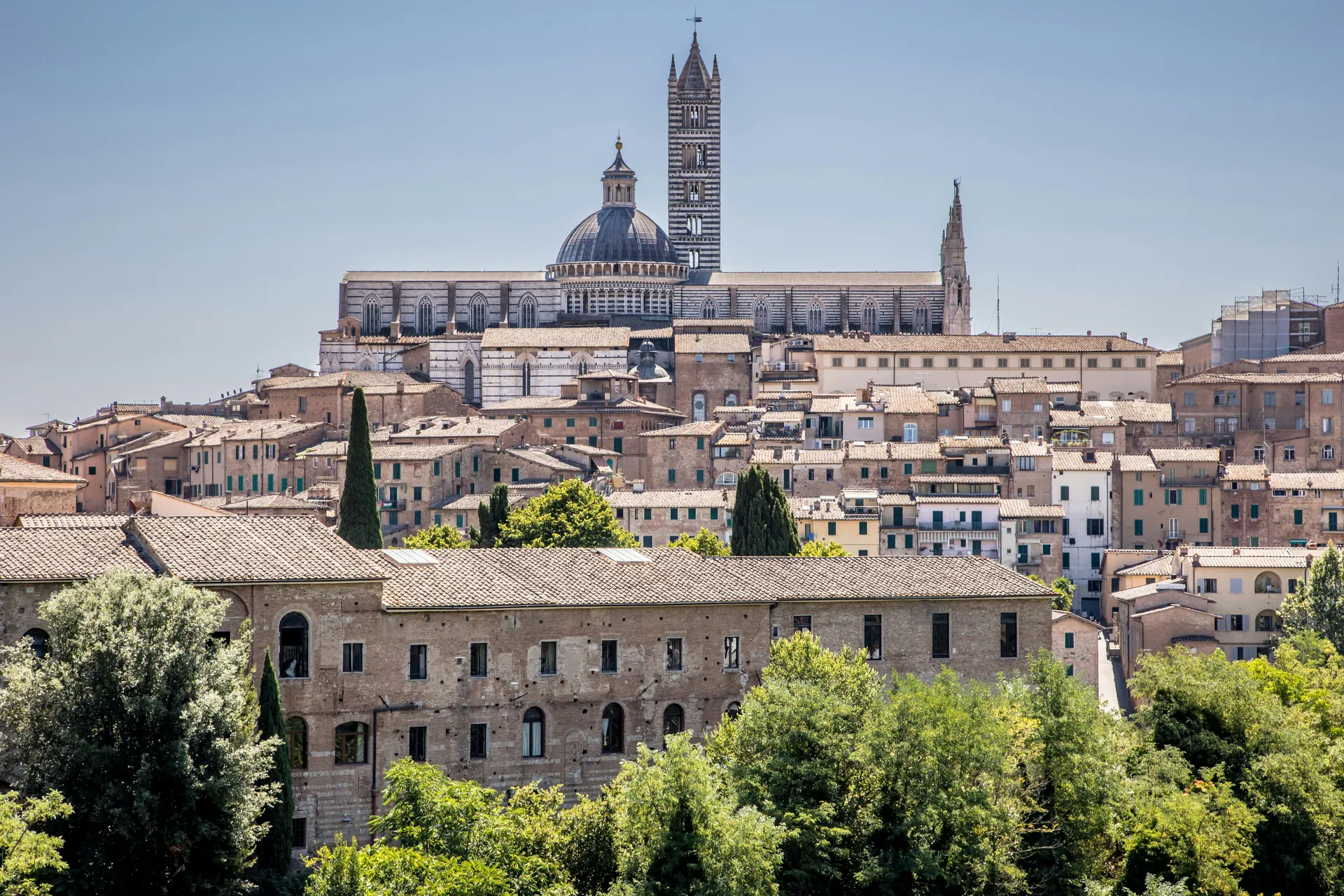 Siena (Siena)