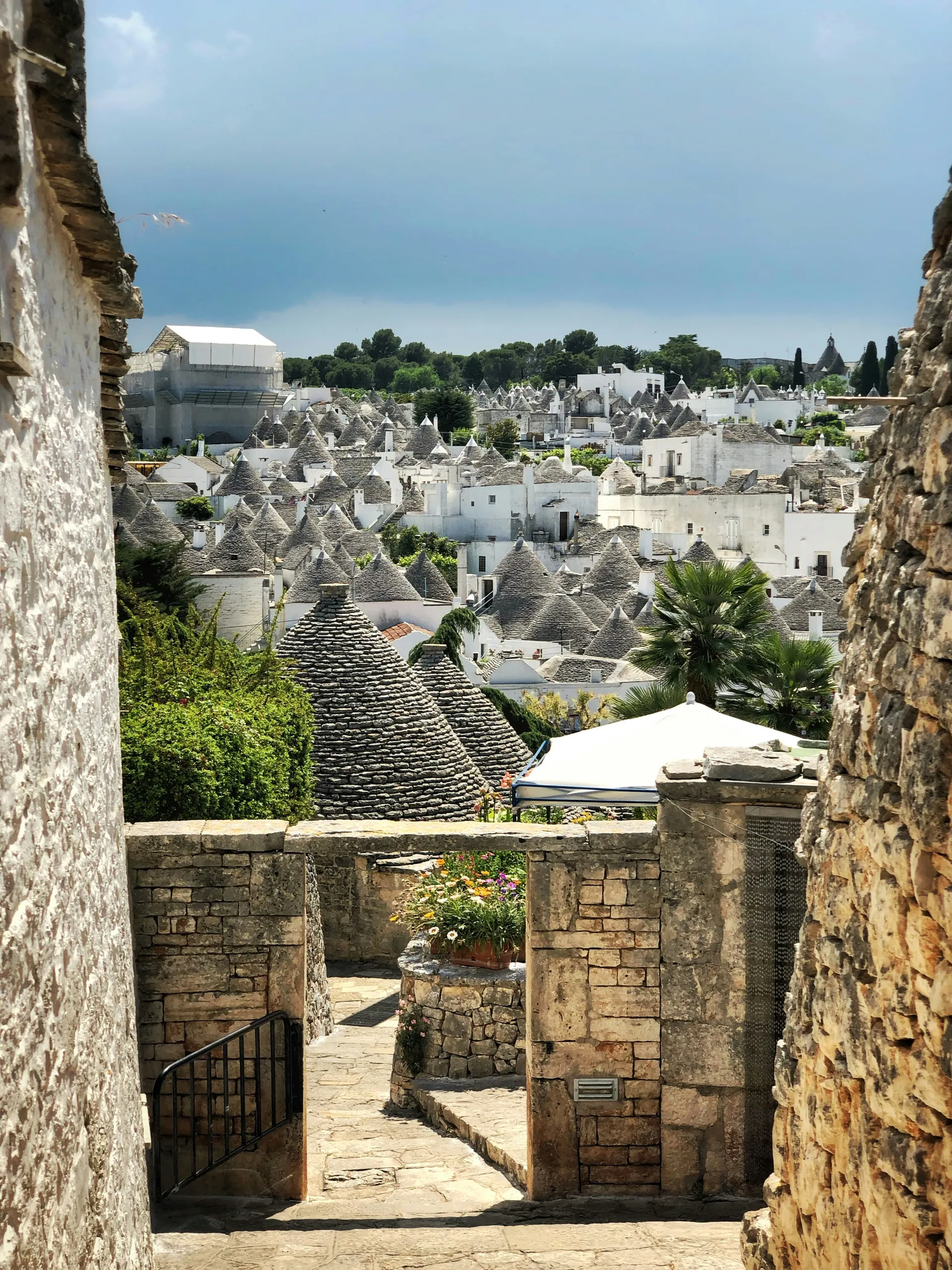 Alberobello (Alberobello)