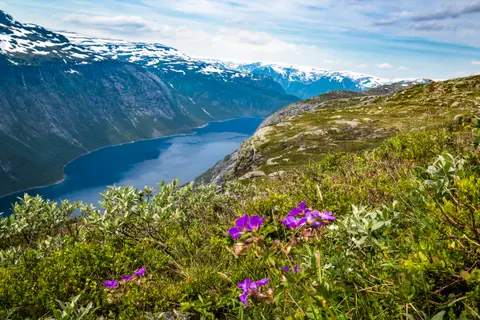 Norges Fjorde Samlernes Rejse — Holland America Line · Rotterdam