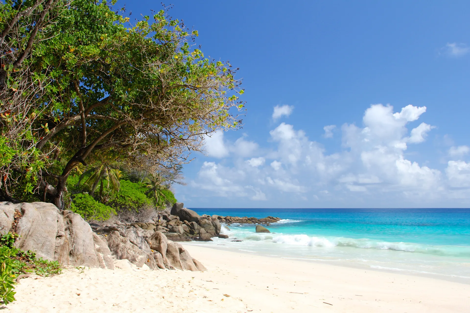 Aride Island, Seychelles (Aride Island, Seychelles)