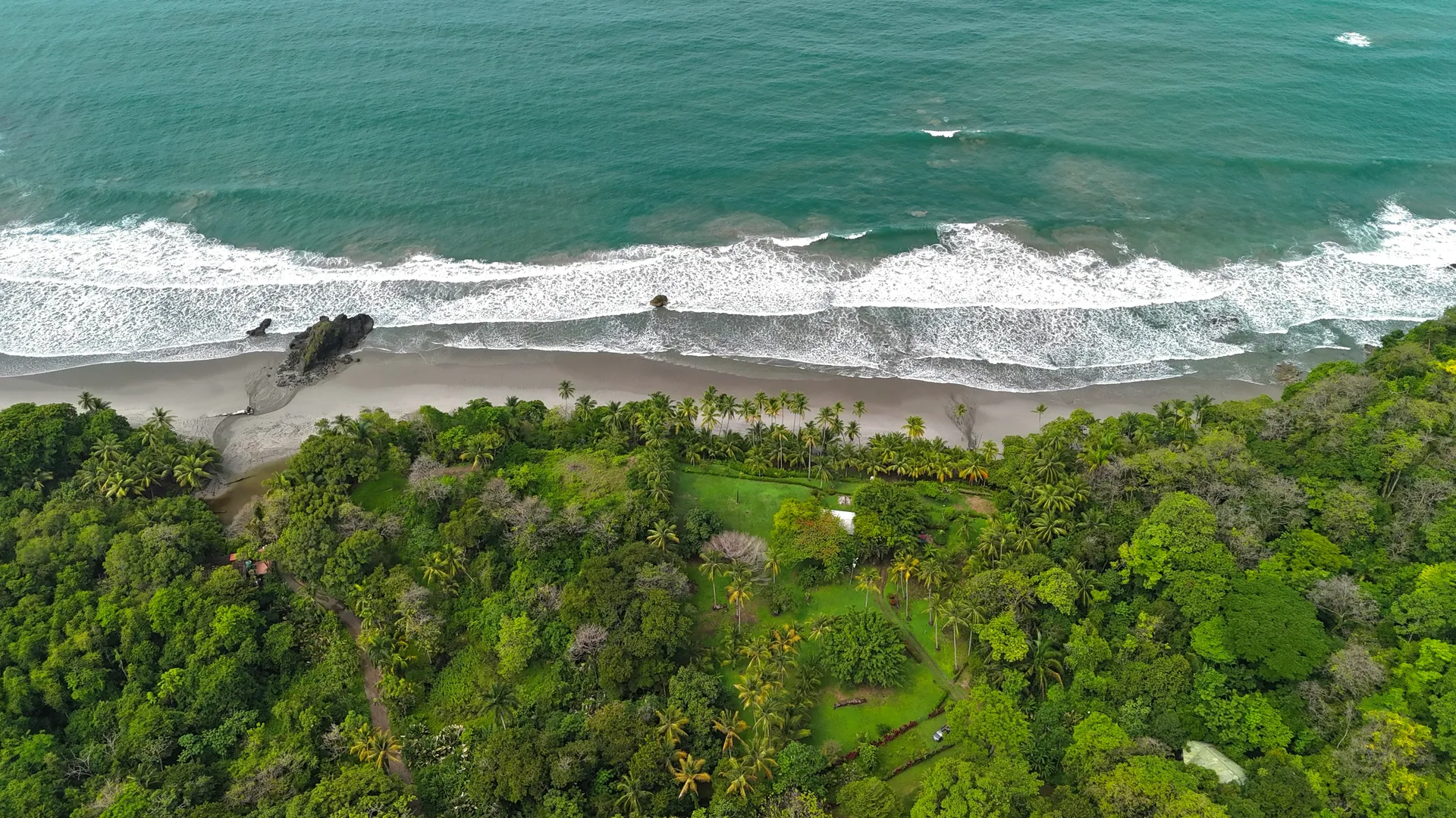 Manuel Antonio National Park 8