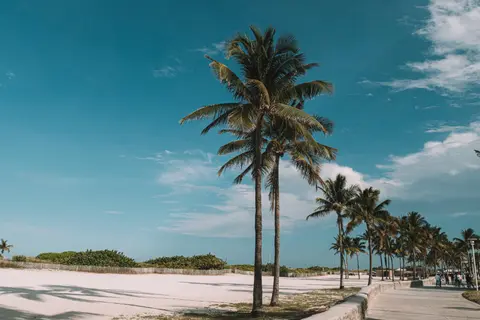 Bahamas și Caraibe din Miami — MSC Croaziere · MSC Seaside