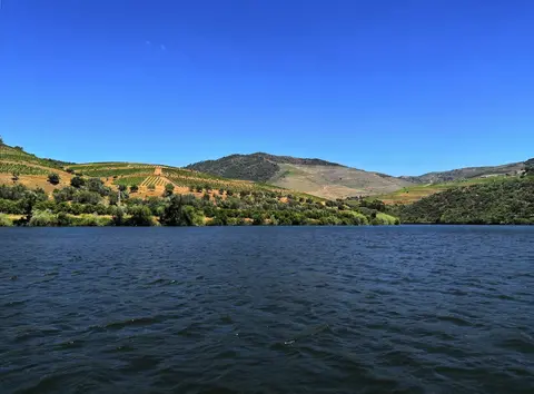 Enticing Douro - Roundtrip Porto — AmaWaterways · AmaSintra