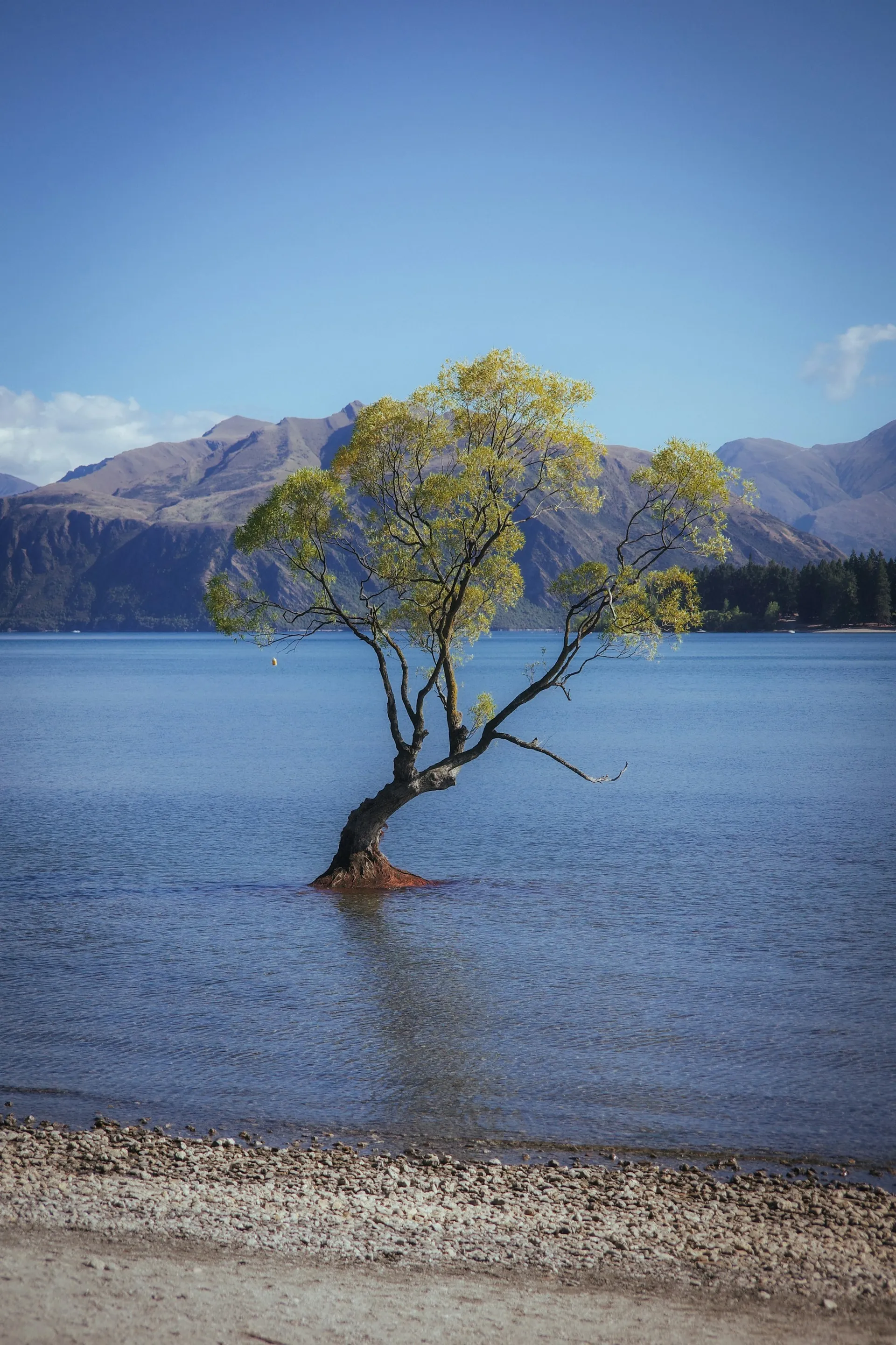 Wanaka 4