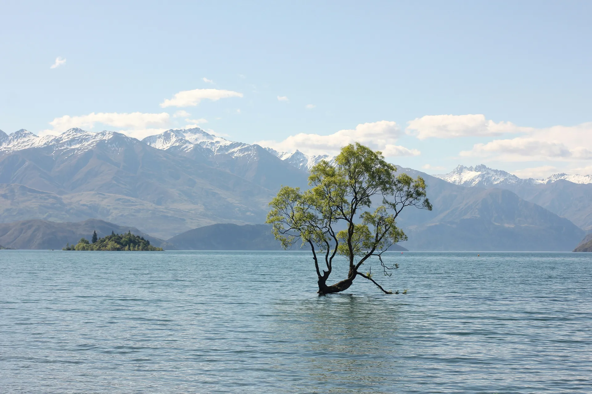 Wanaka 7