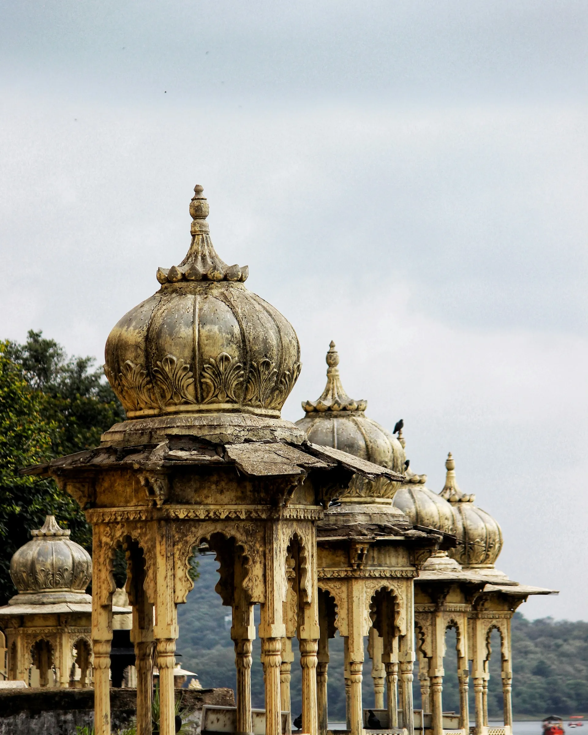 Udaipur 8