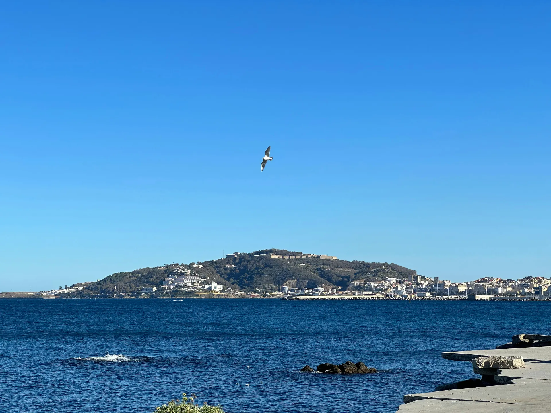 A Journey of Atlantic Light & Volcanic Shores — Explora Journeys · EXPLORA II