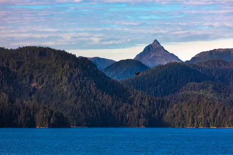 Alaska Udforsker — Holland America Line · Eurodam