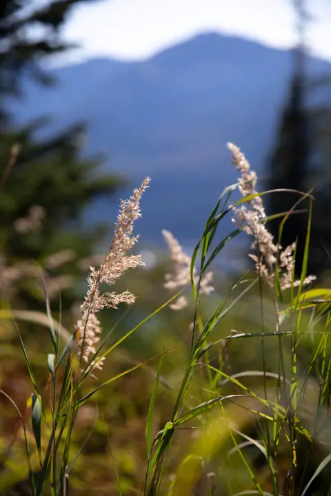 Vancouver to Seward — Silversea · Silver Moon