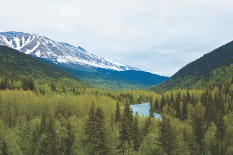 Alaska Explorer — Holland America Line · Eurodam