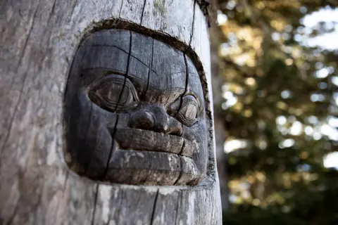 Alaska Udforsker — Holland America Line · Eurodam