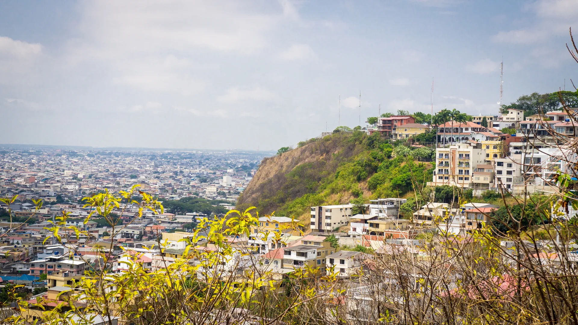 Guayaquil (Guayaquil)