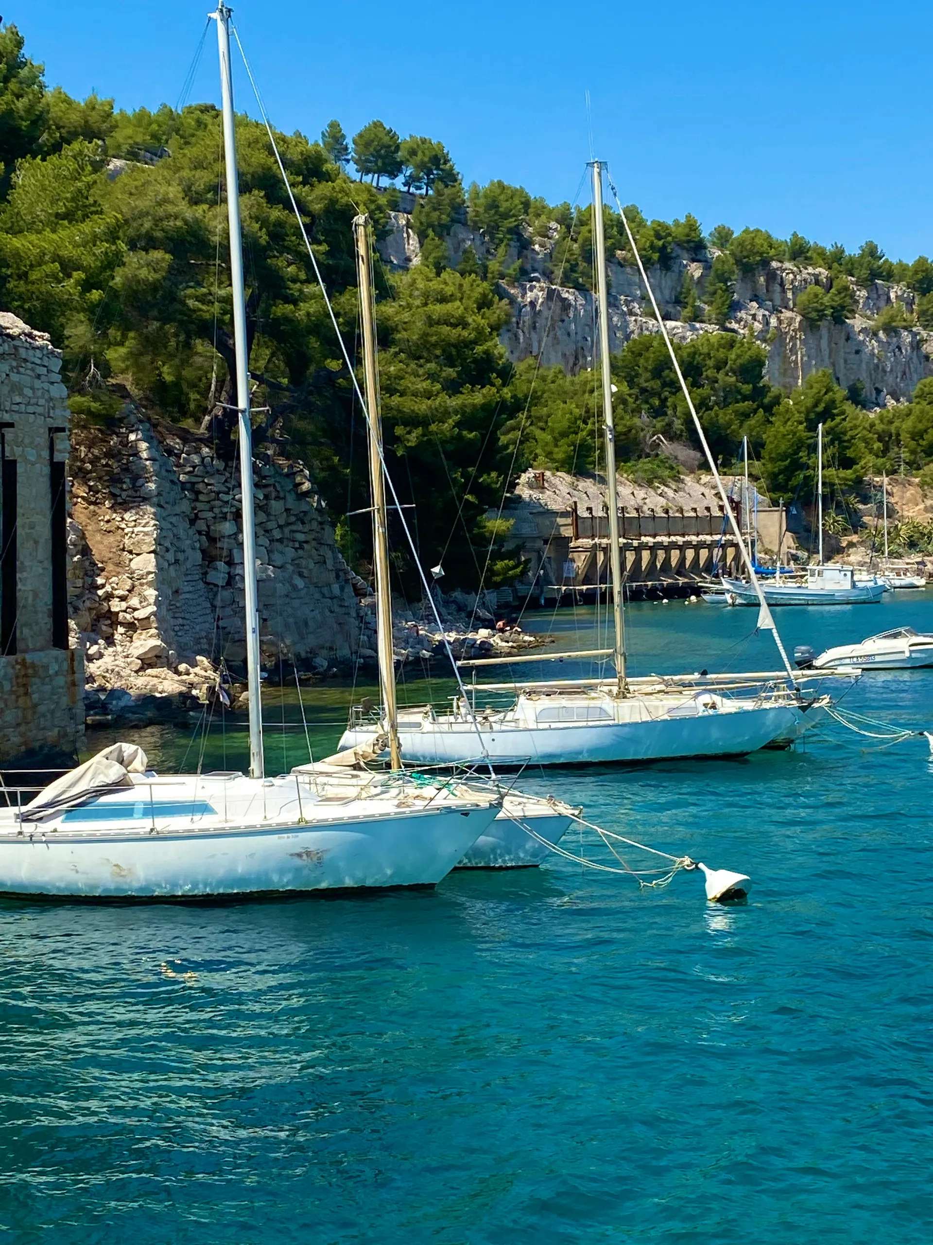 Cassis 9