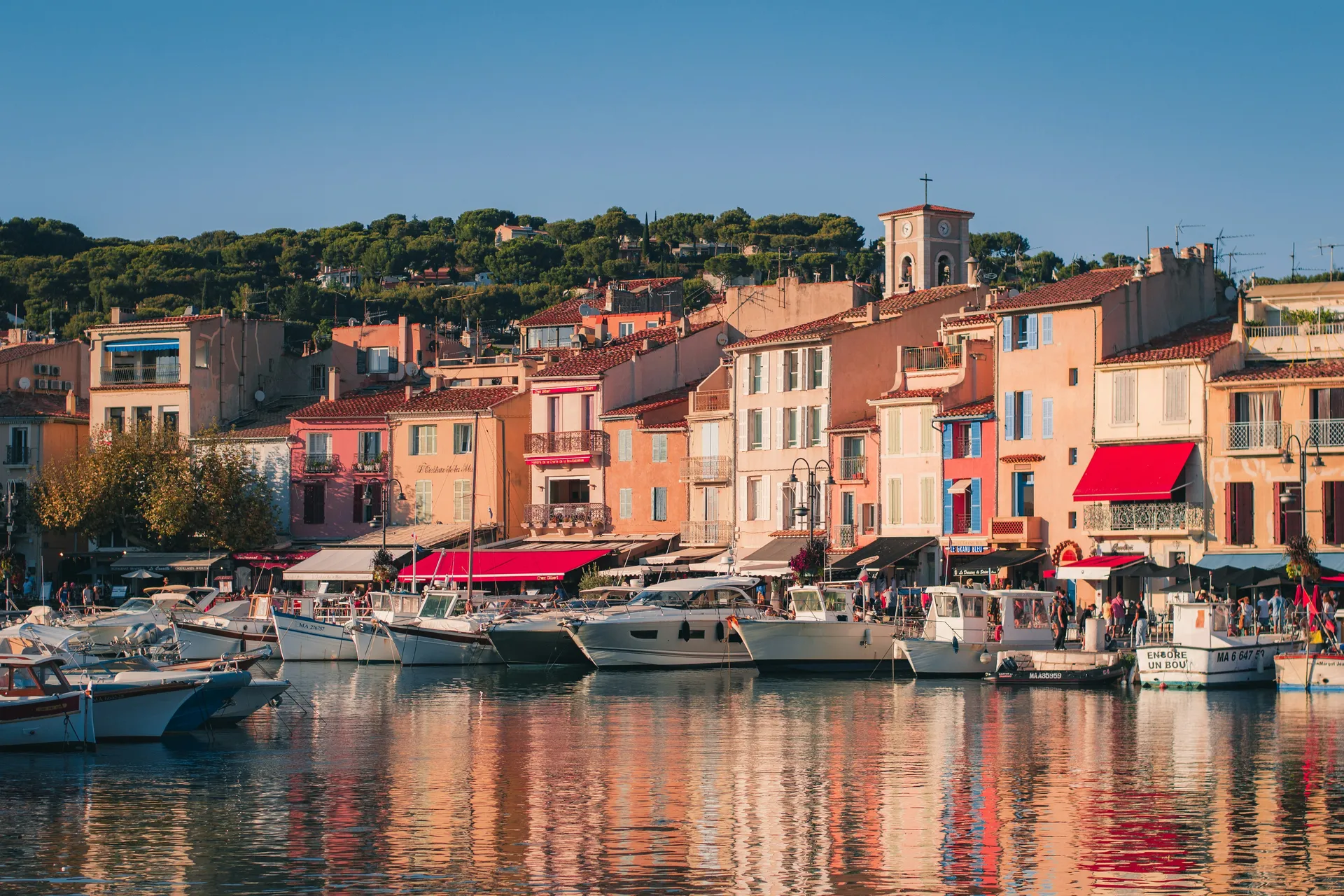 Cassis (Cassis)