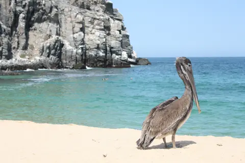 San Esteban Island