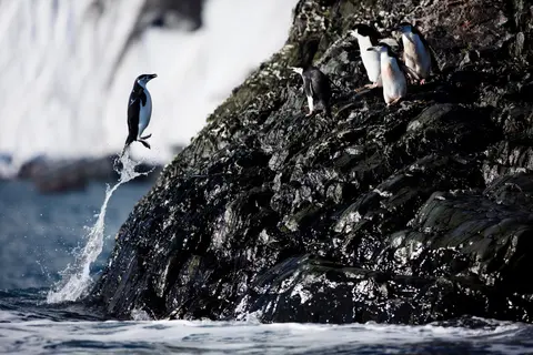 Puerto Williams to Puerto Williams — Silversea · Silver Wind