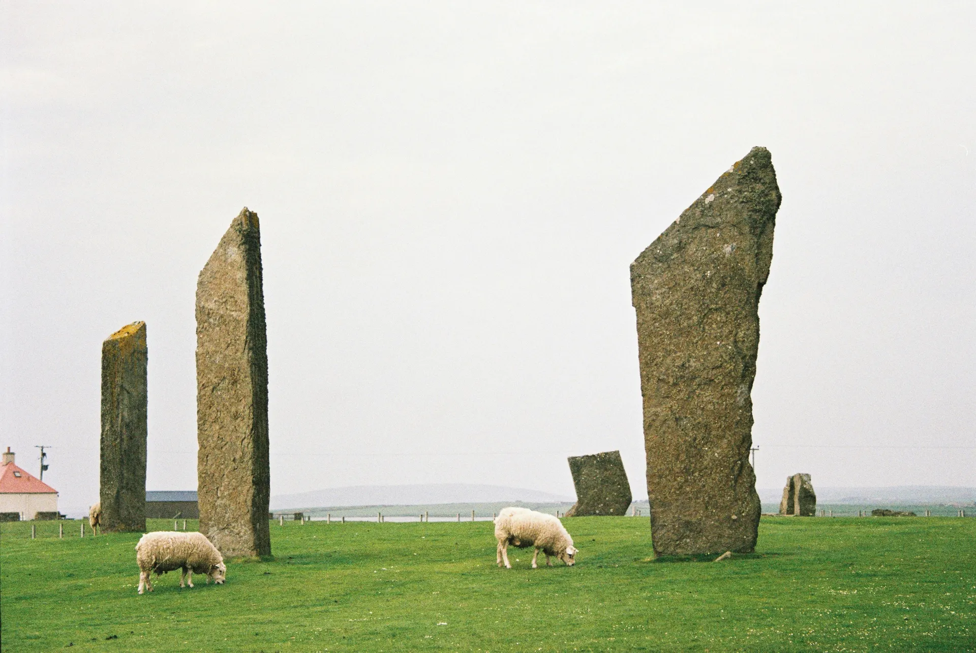 Orkneynsaarten (Orkney Islands)
