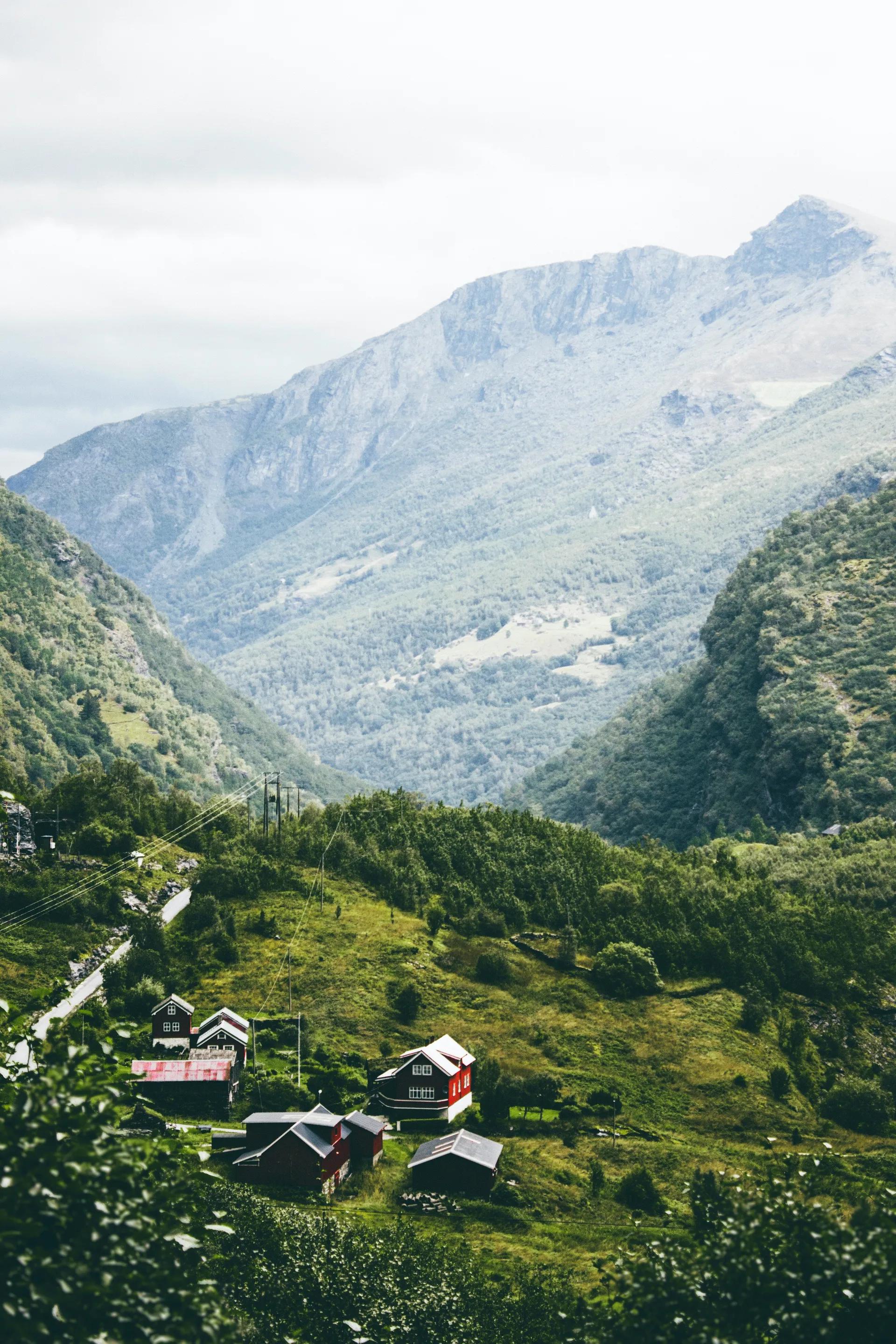 Nord-Europa fra København — MSC Cruises · MSC Euribia