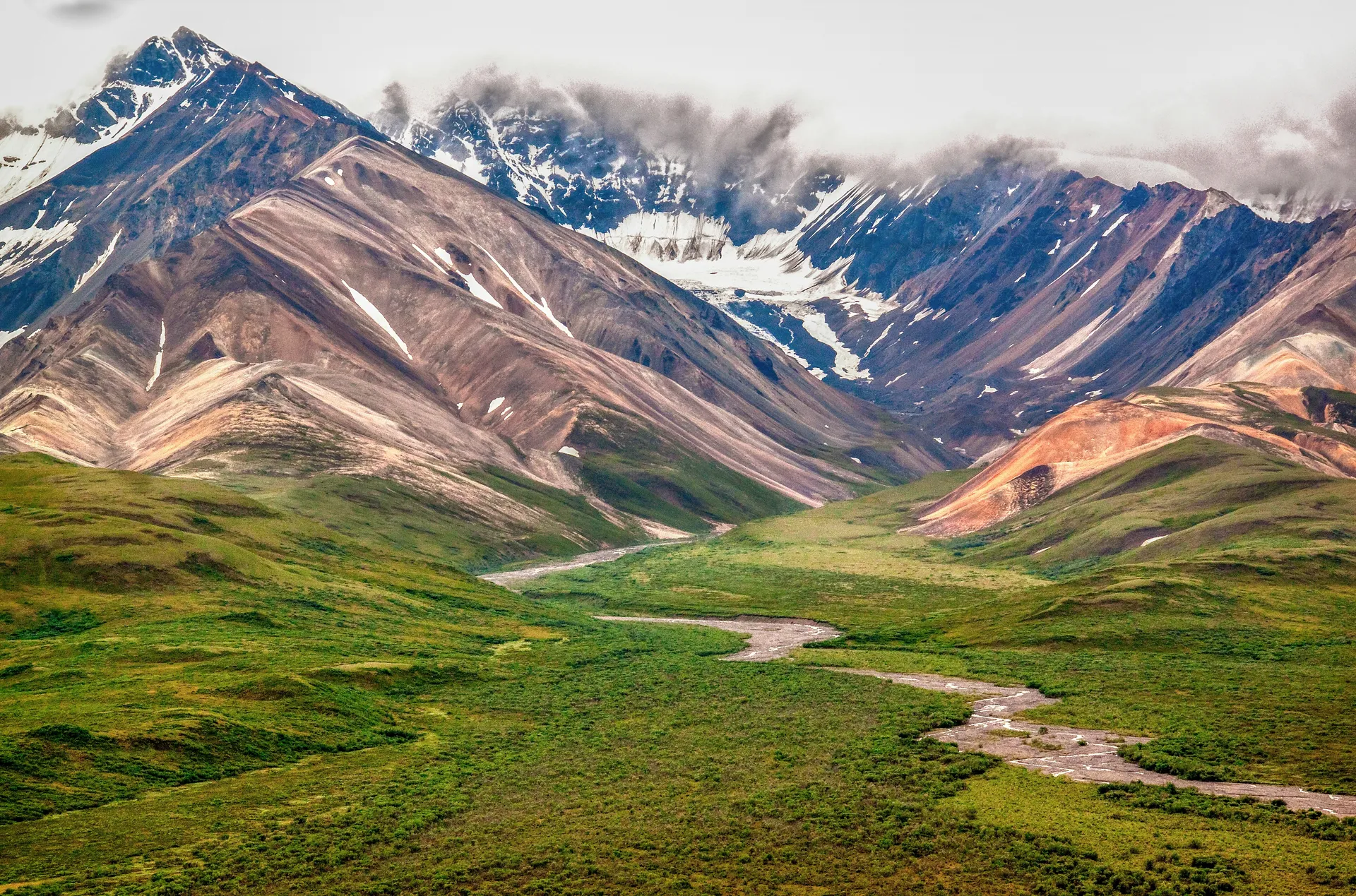Denali National Park, Alaska 7