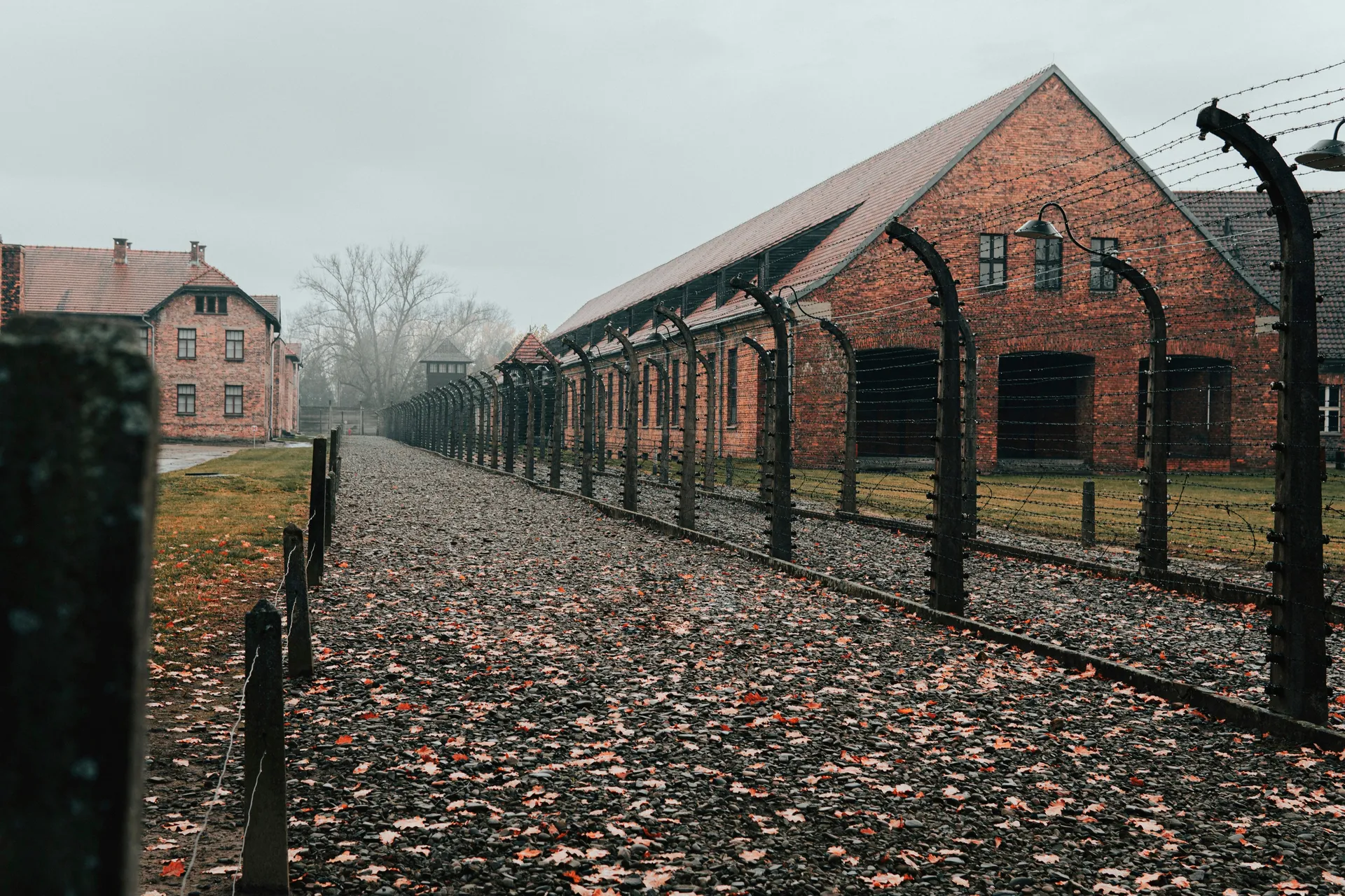 Auschwitz 4