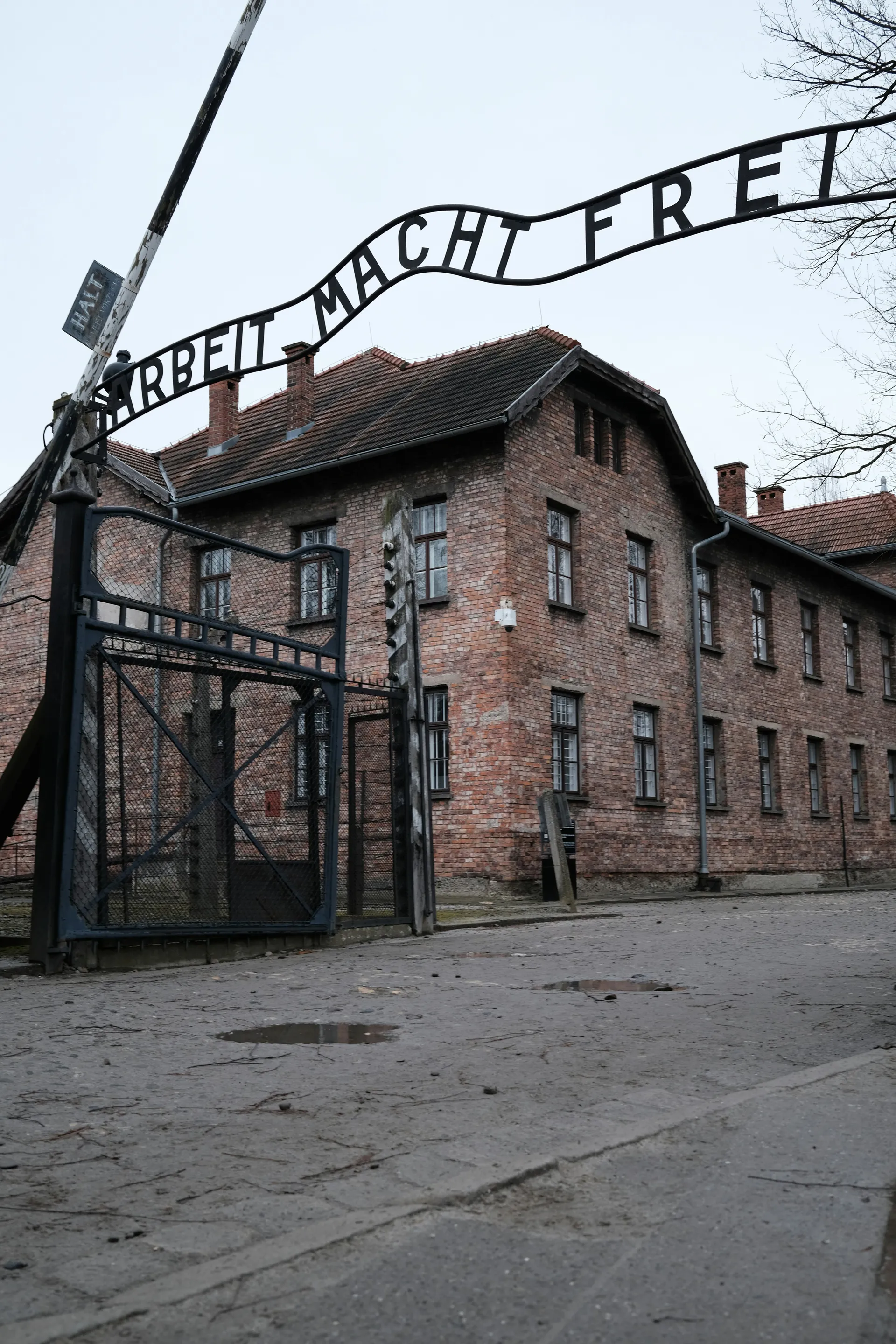 Auschwitz 2