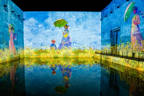 Gyönyörű Bordeaux — Festői folyami hajóutak · Scenic Diamond