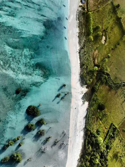 Voyage to Indonesia: Dragons, Reefs, and the Spice Islands – with Smithsonian Journeys — Ponant · Le Jacques Cartier