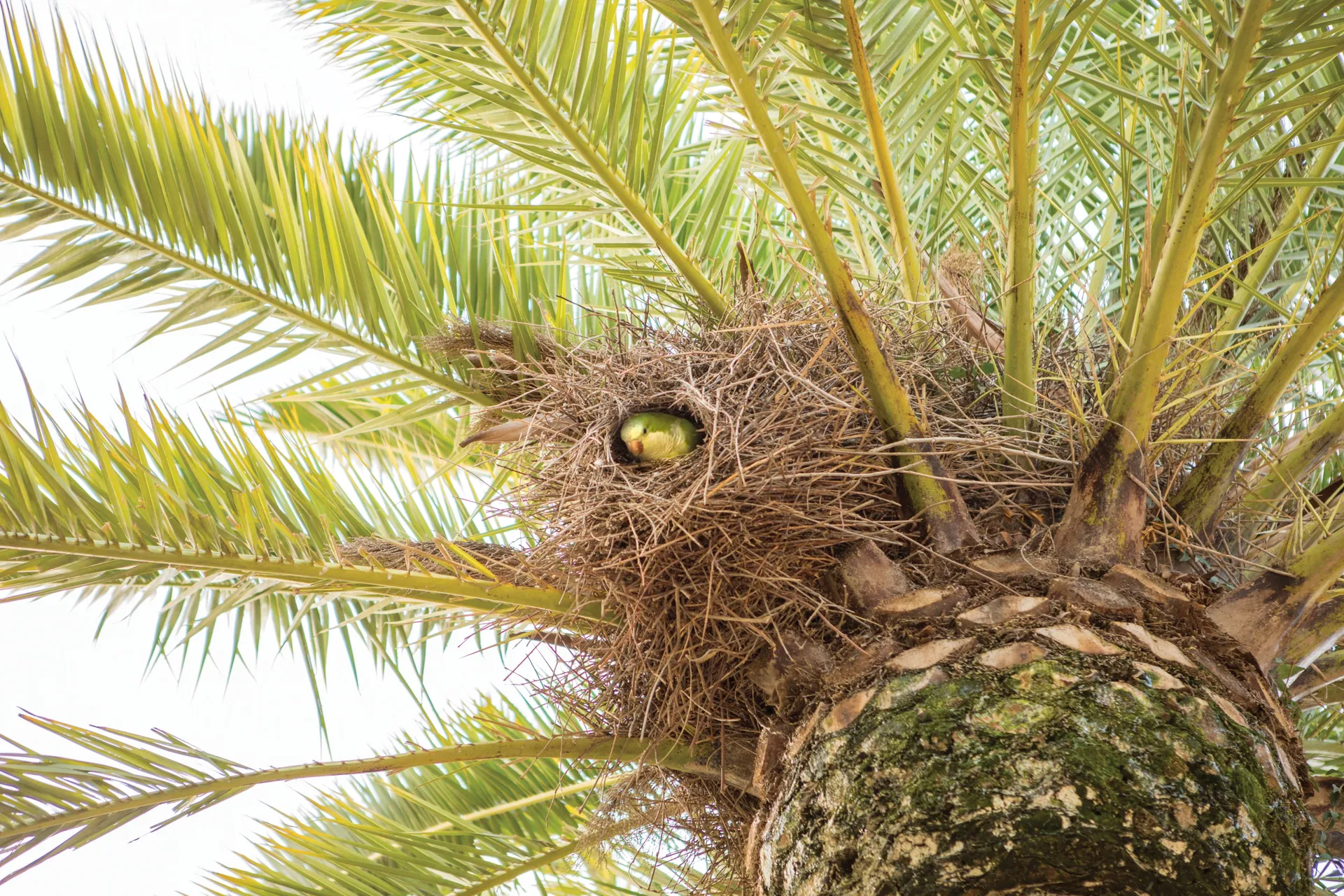 Bridgetown, Barbados 4
