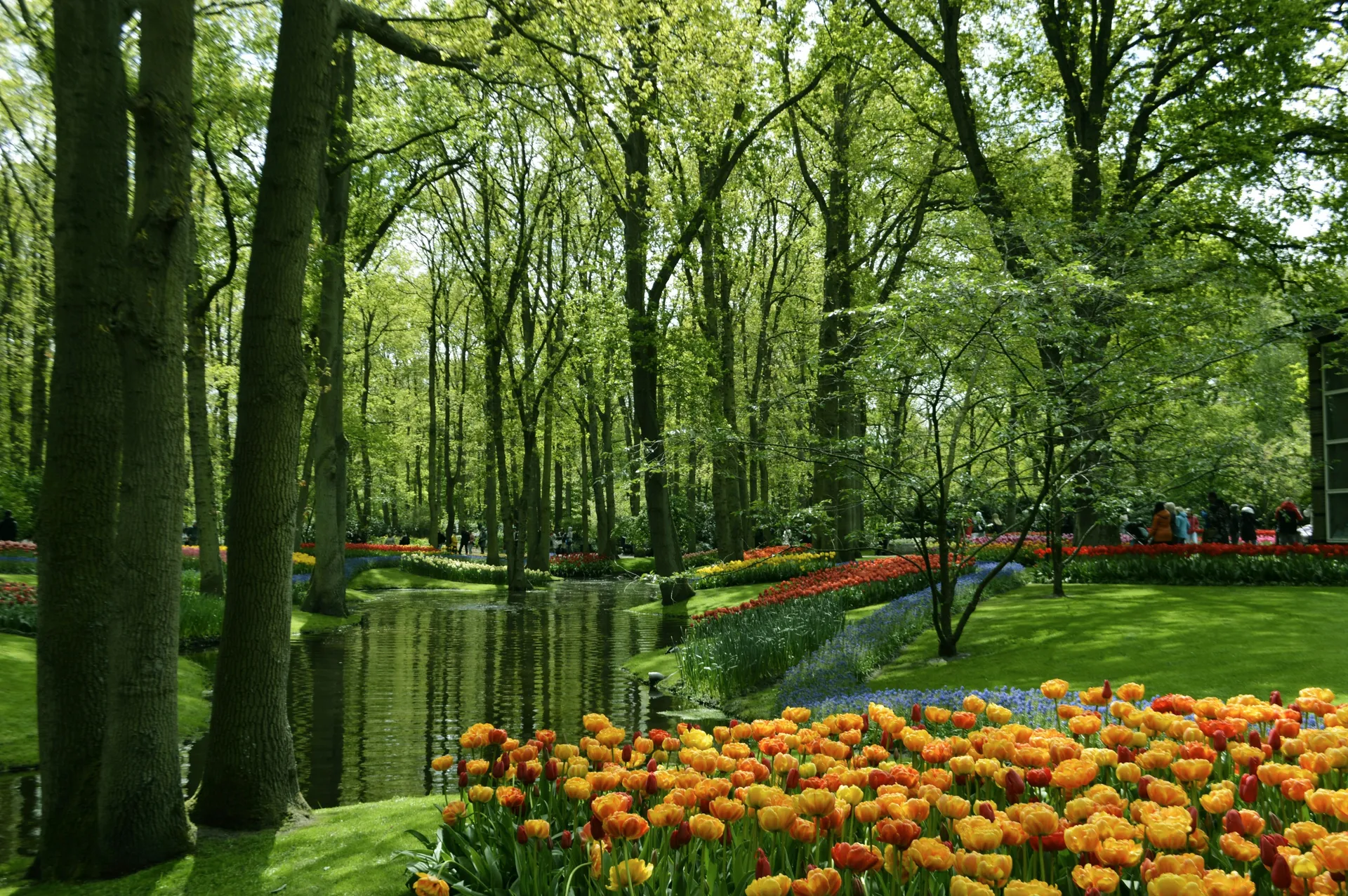 Keukenhof (Keukenhof Gardens)
