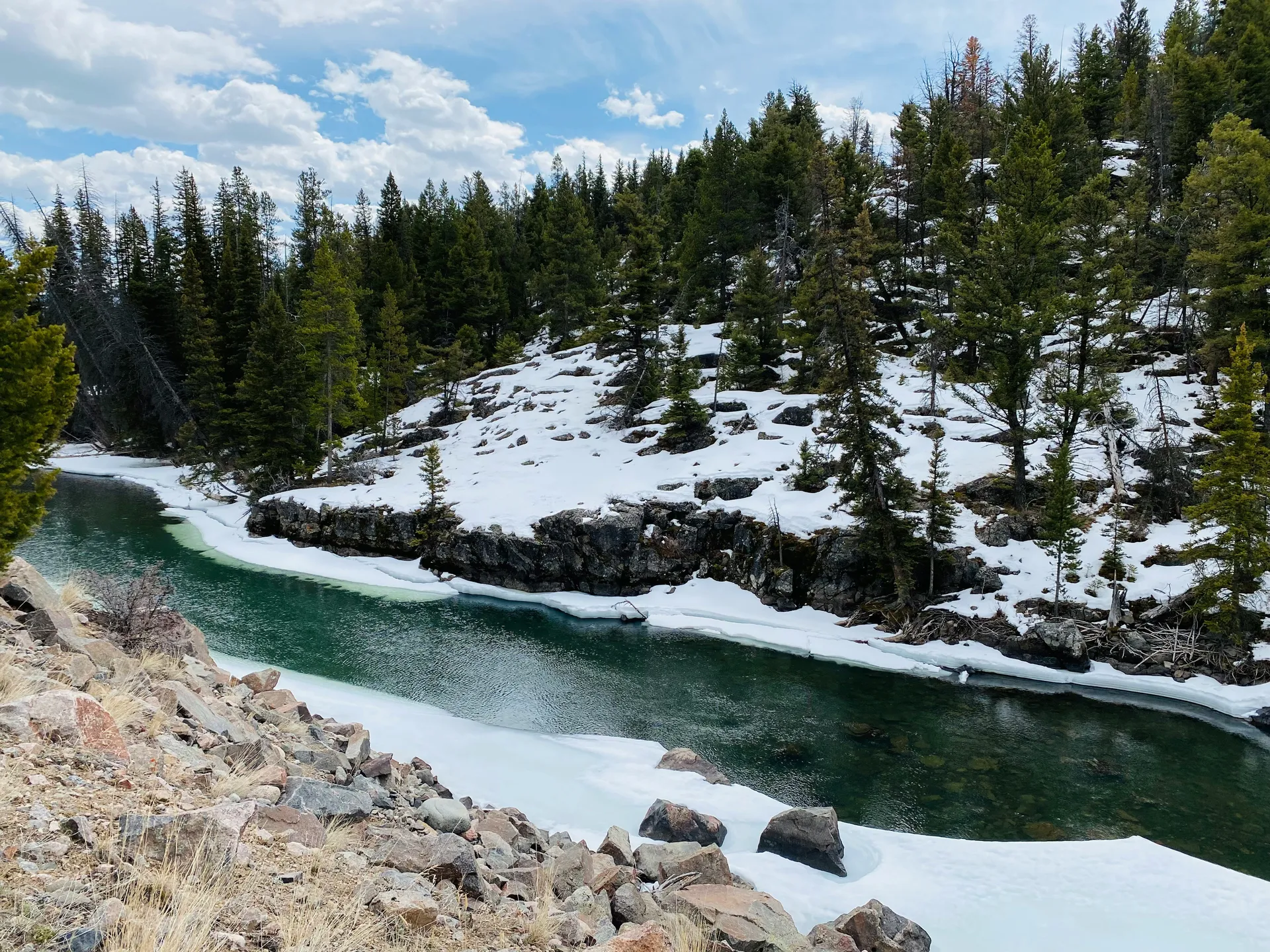 โคดี้, ไวโอมิง 5